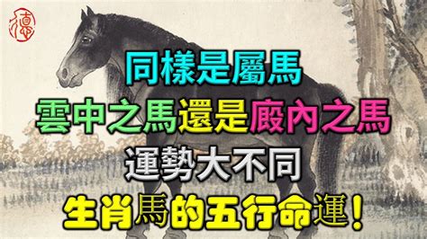 廄內之馬|人各有命！生肖與出生年份命運對照簡表